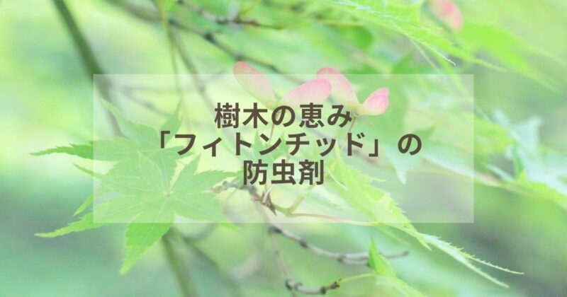 【タイトル】樹木の恵み　フィトンチッドの防虫剤